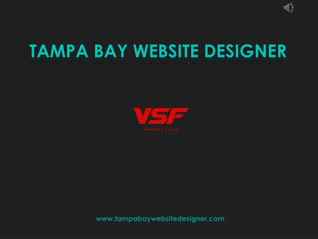 tampa bay website designer