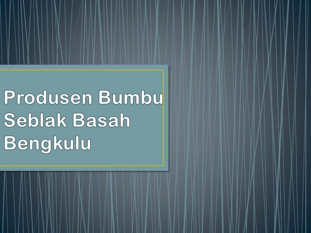 produsen bumbu seblak basah bengkulu