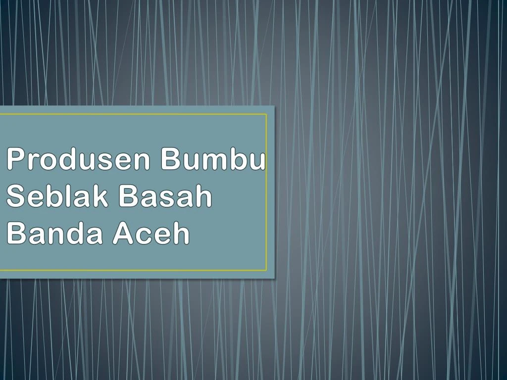 produsen bumbu seblak basah banda aceh