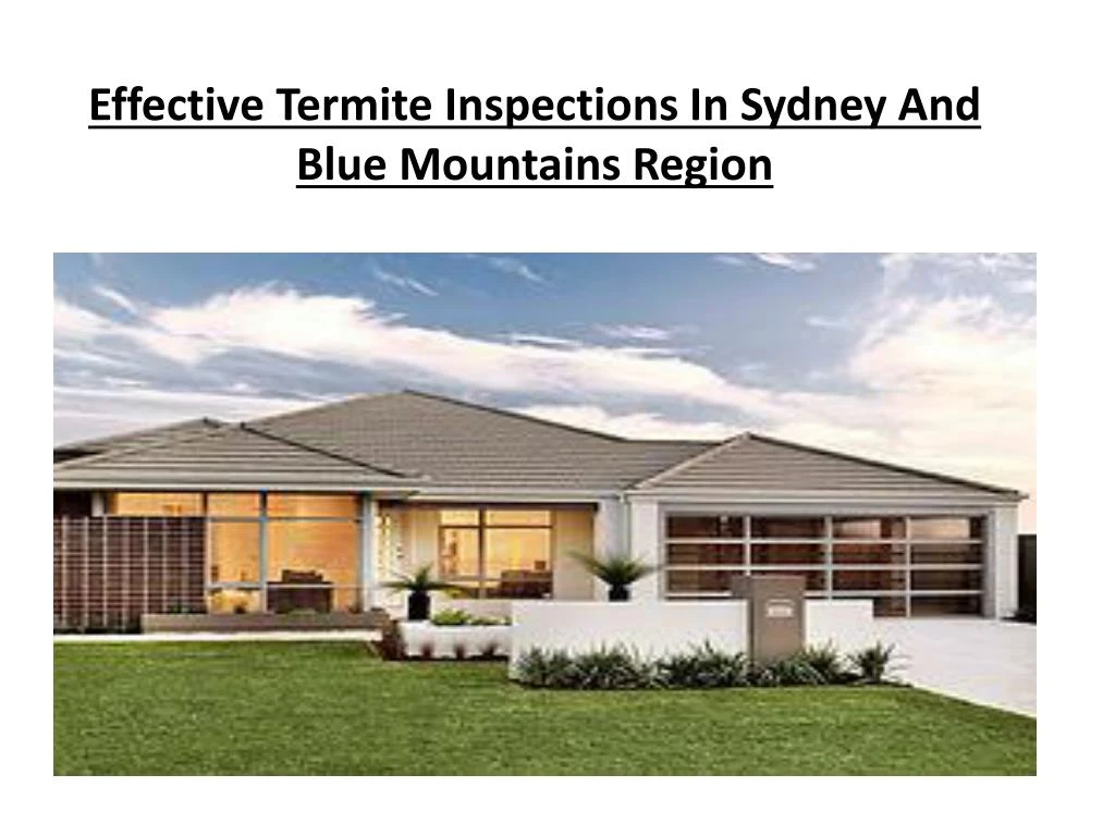 effective termite inspections in sydney and blue mountains region