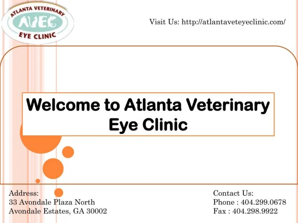 Animal eye specialist Atlanta