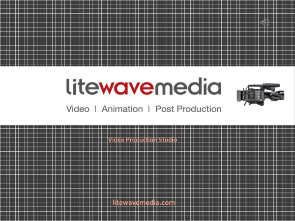 Film Studios Based in Florida - Litewave Media