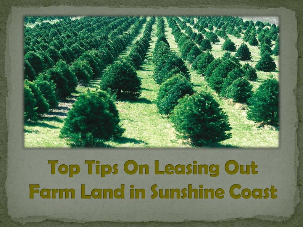 top tips on leasing out farm land in sunshine coast