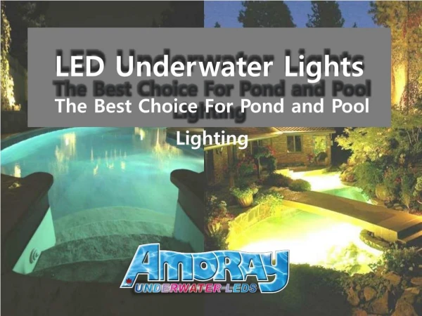 LED Underwater Lights - The Best Choice For Pond and Pool Lighting