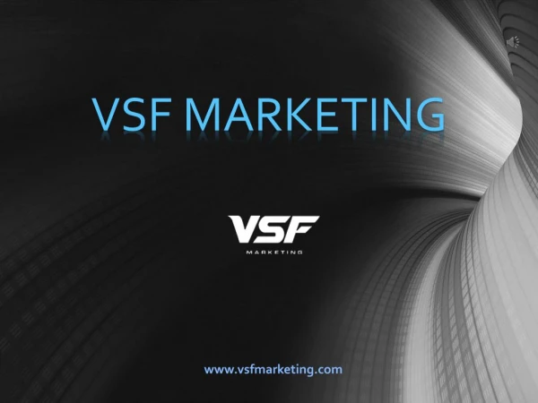 SEO Services Based in Tamapa - VSF Marketing