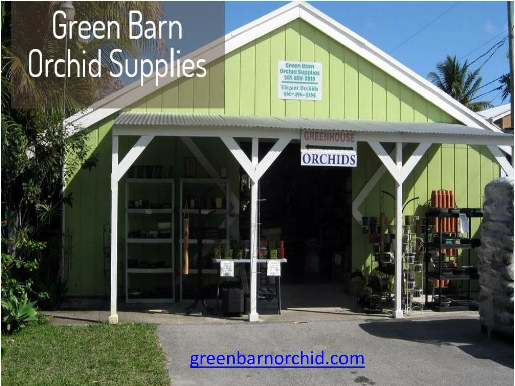 greenbarnorchid com