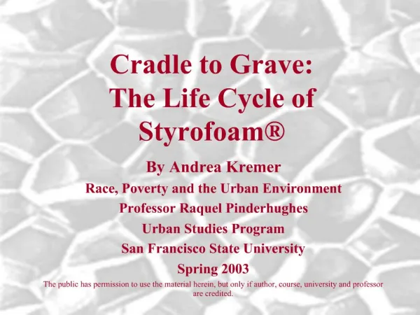 Cradle to Grave: The Life Cycle of Styrofoam