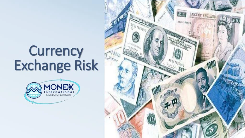 currency exchange risk