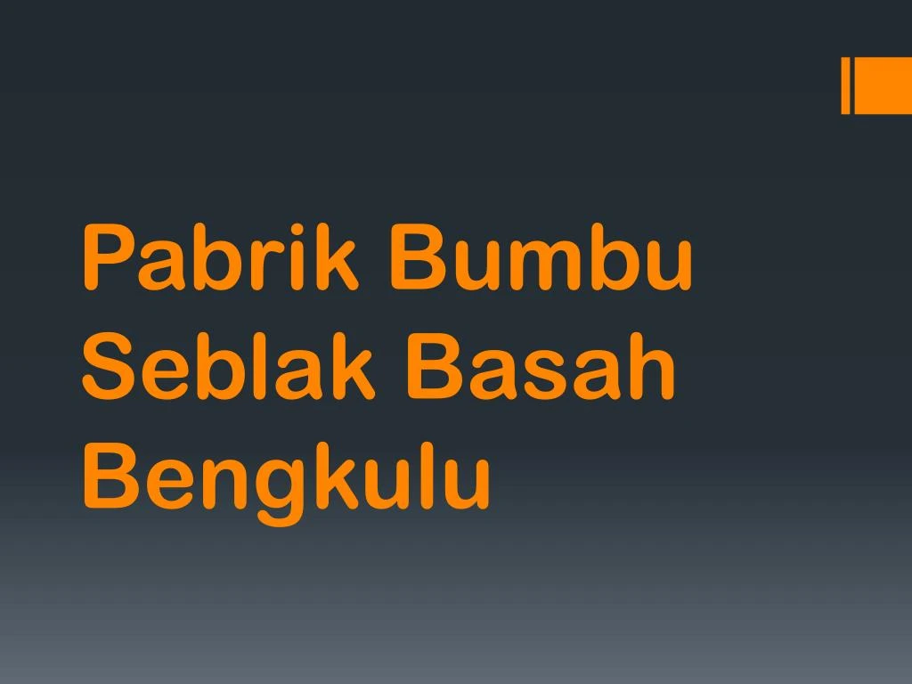 pabrik bumbu seblak basah bengkulu