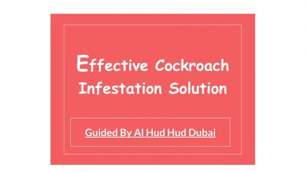 Effective Cockroach Infestation Solution | Al Hud Hud