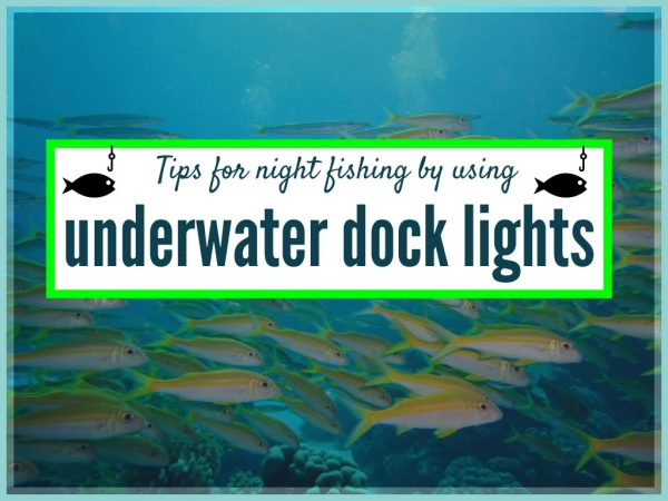 Best Fishing Lights for Boats