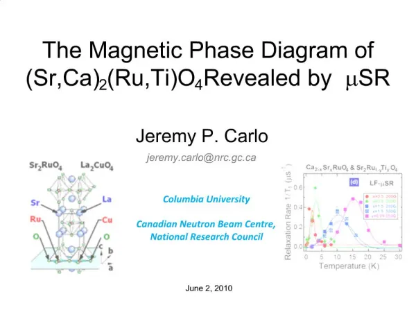 The Magnetic Phase Diagram of Sr,Ca2Ru,TiO4 Revealed by mSR