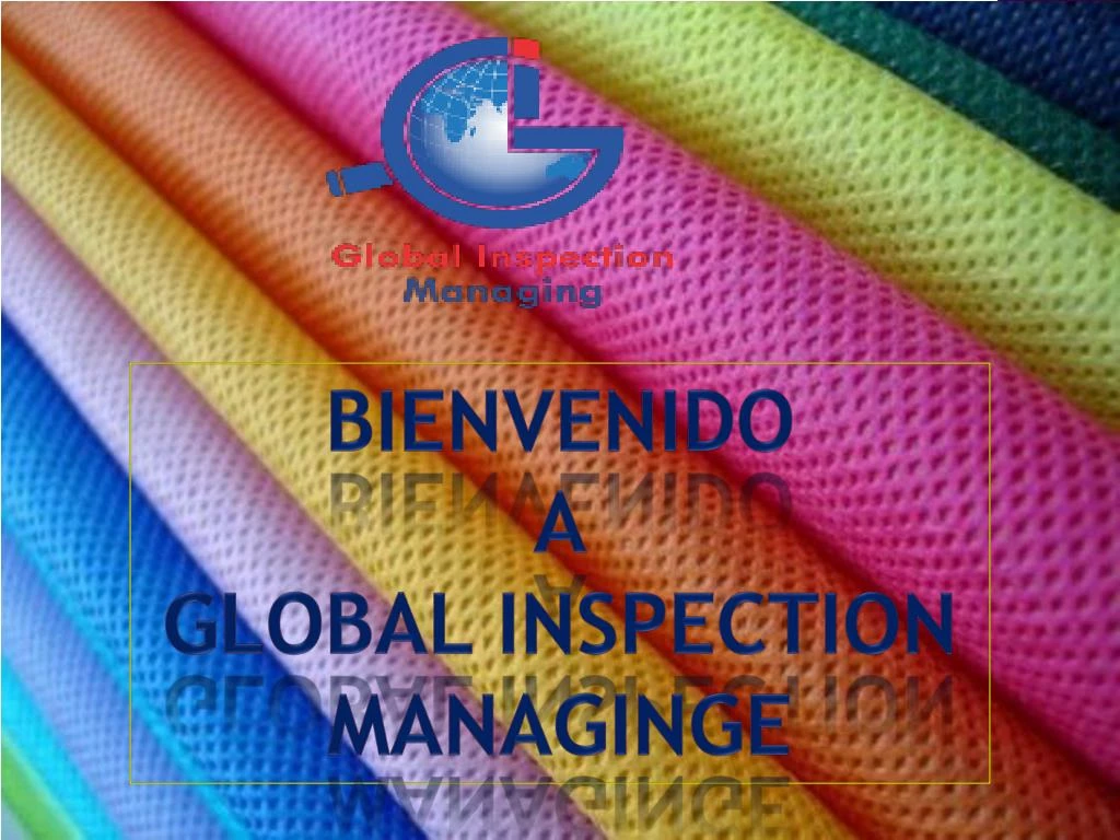 bienvenido a global inspection m anaginge