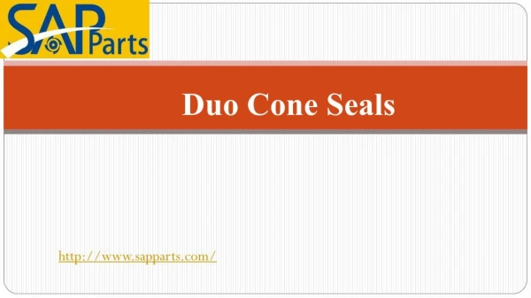 Duo Cone Seals
