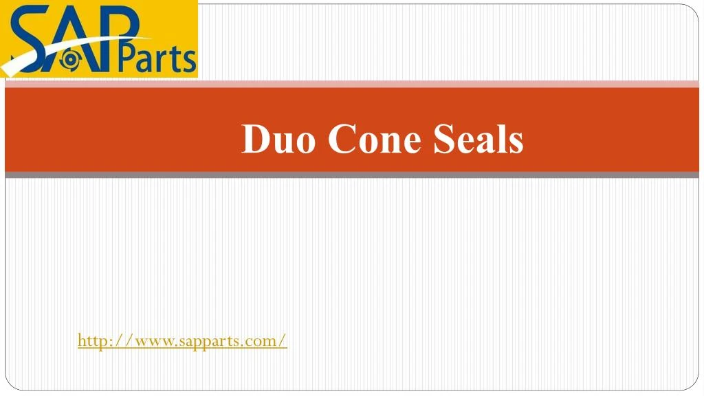 duo cone seals