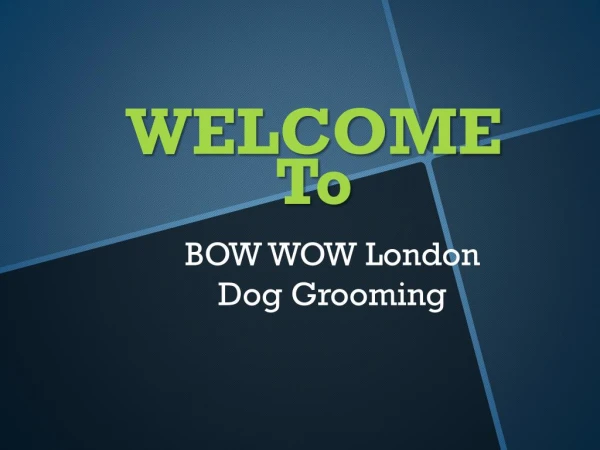 Looking for the best Dog Grooming services in Fitzrovia