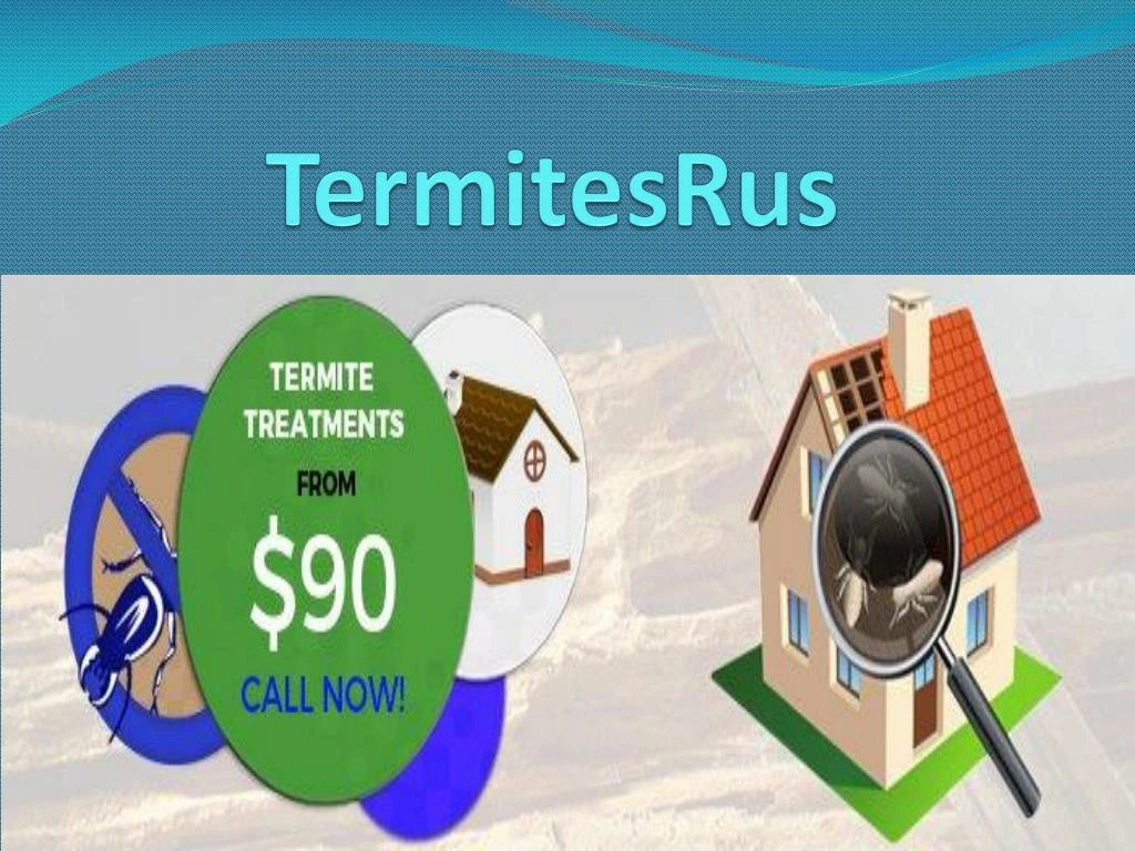 termitesrus