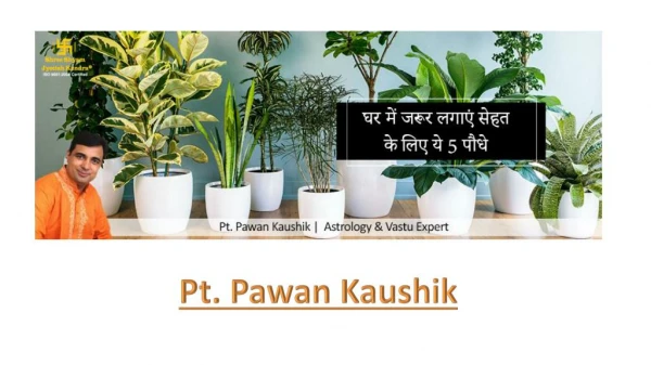 5 Beneficial Plants For Health - Pt Pawan Kaushik