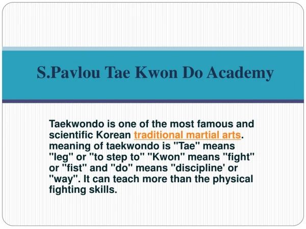 Taekwondo lincoln park academy