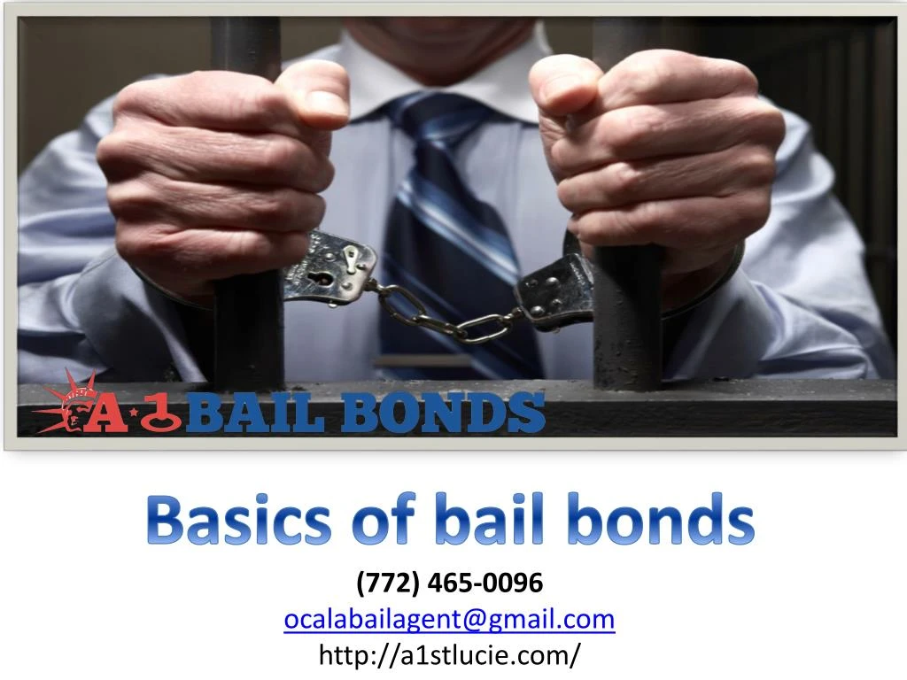 basics of bail bonds 772 465 0096