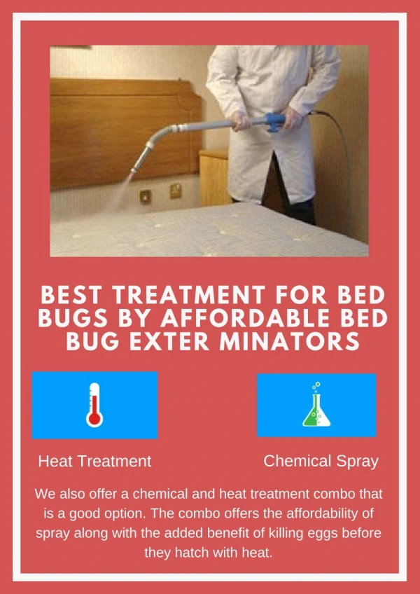 Bed Bug Treatment Options Offered By Affordable Bed Bug Exterminators