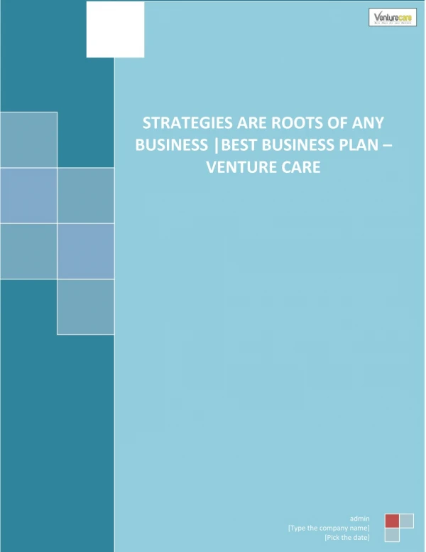 Strategies Are Roots of Any Business Best Business Plan â€“ Venture Care