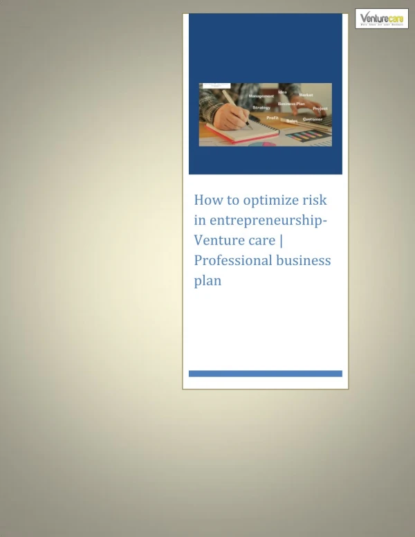 How to optimize risk in entrepreneurship-Venture care Professional business plan