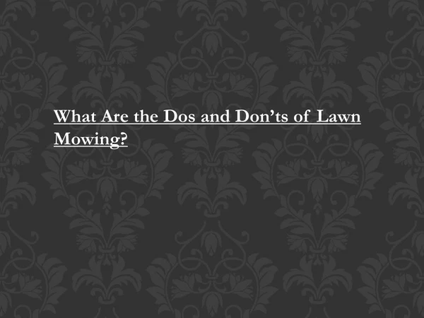 What Are the Dos and Don’ts of Lawn Mowing?
