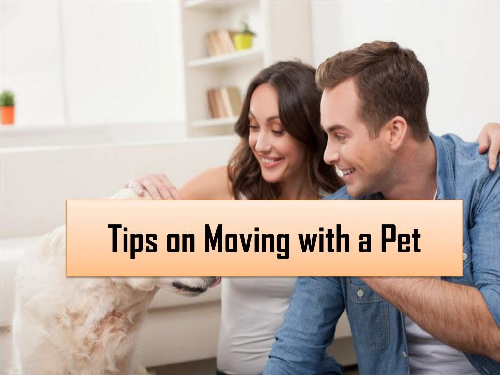 tips on moving with a pet