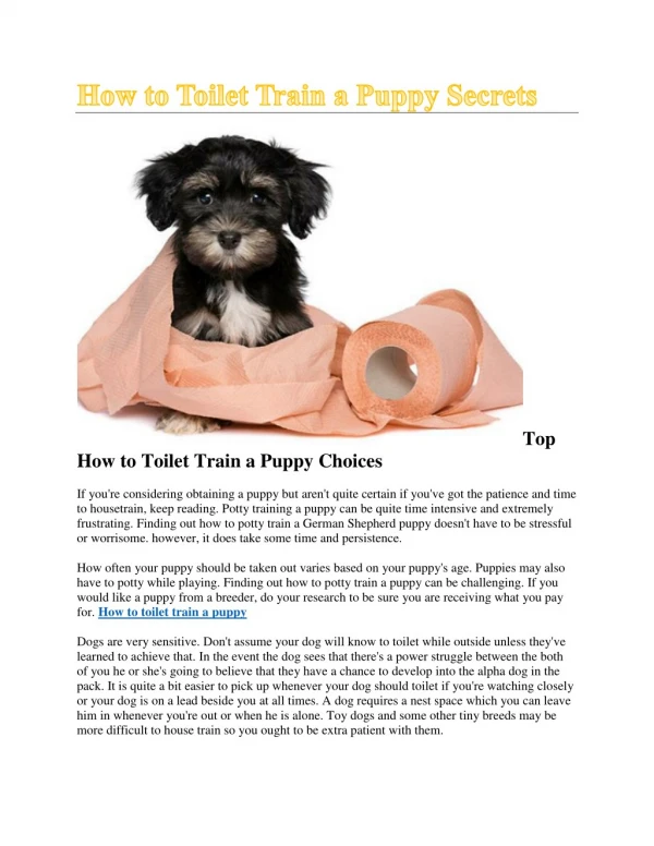 How to toilet train a puppy