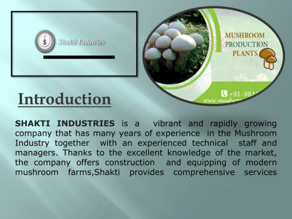 mushroom plants Suppliers in India