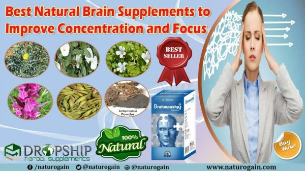 Best Natural Brain Supplements to Improve Concentration and Focus