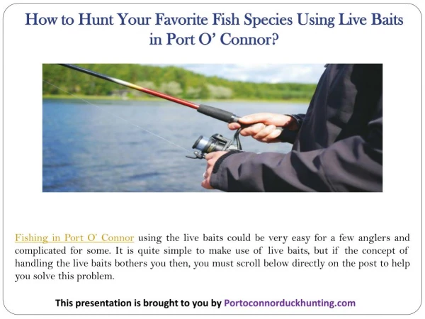 How to Hunt Your Favorite Fish Species Using Live Baits in Port O’ Connor?