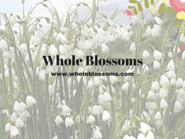 Wholeblossoms:Bloom Where You Are Planted