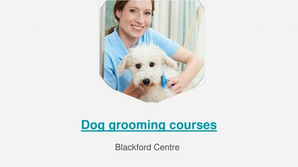 Dog Grooming Courses - The Blackford Centre