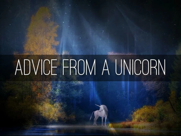 Advice From a Unicorn