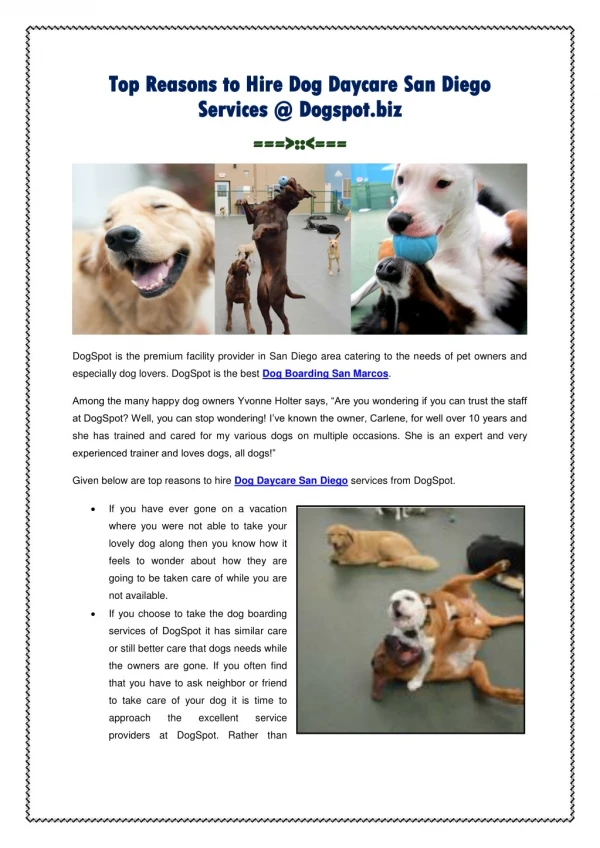 Hire Dog Daycare San Diego Services @ Dogspot.biz