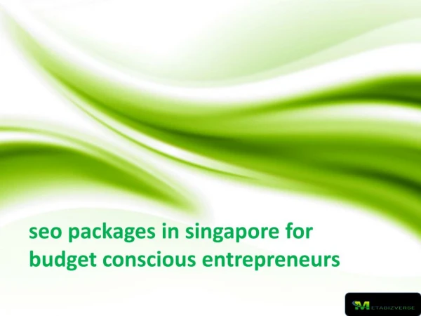 seo packages in singapore for budget conscious entrepreneurs
