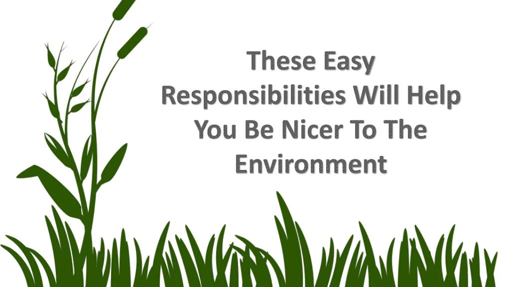 these easy responsibilities will help
