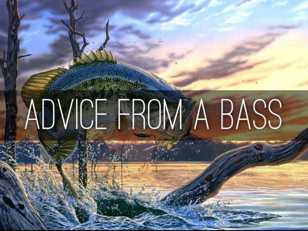 Advice From a Bass