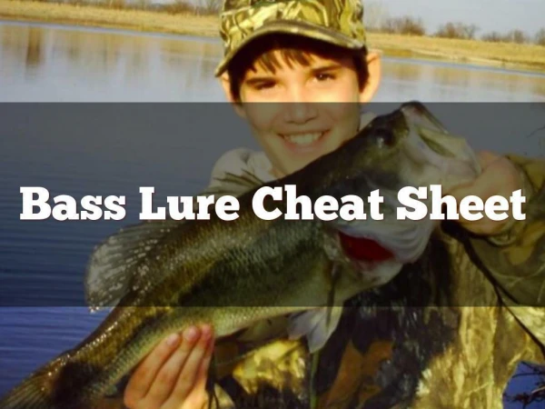 Bass Lure Cheat Sheet