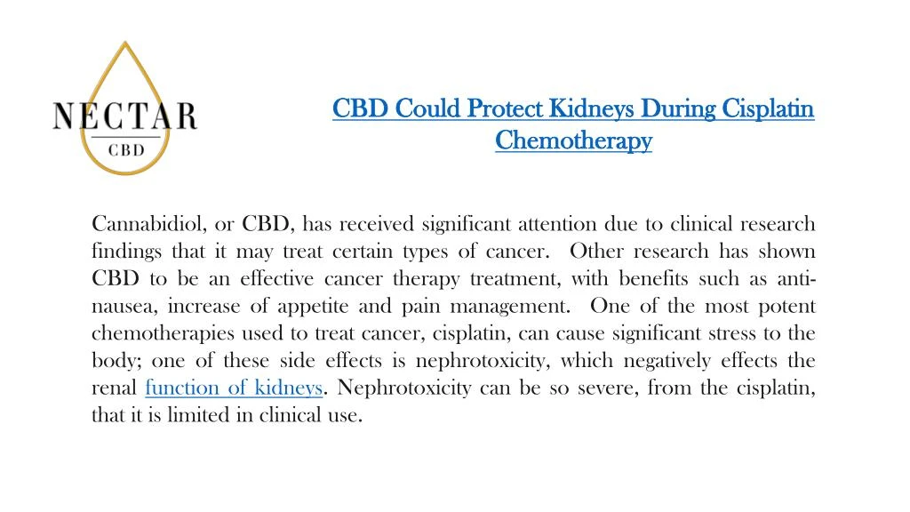 cbd could protect kidneys during cisplatin