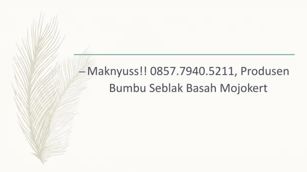 Maknyuss!! 0857.7940.5211, Produsen Bumbu Seblak Basah Bengkulu