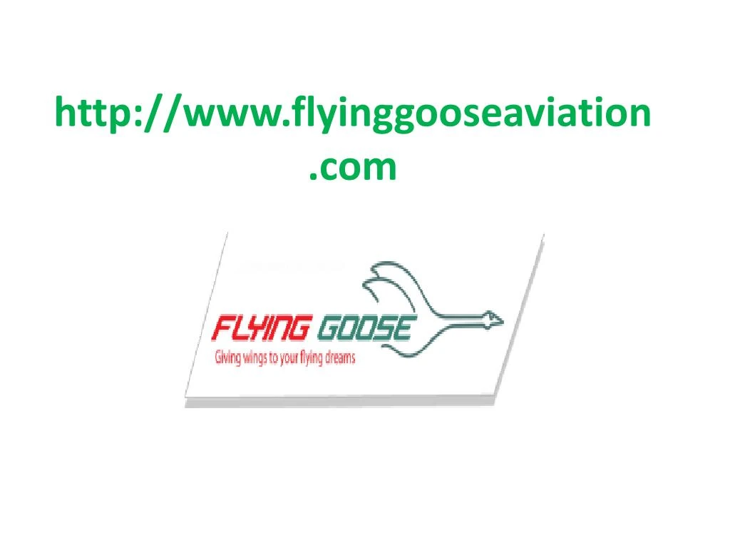 http www flyinggooseaviation com