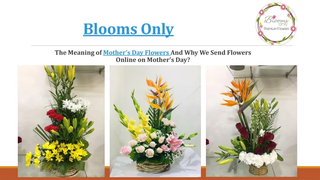 blooms only