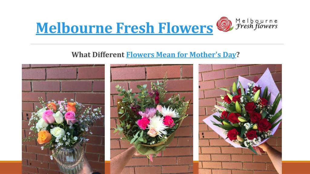 melbourne fresh flowers