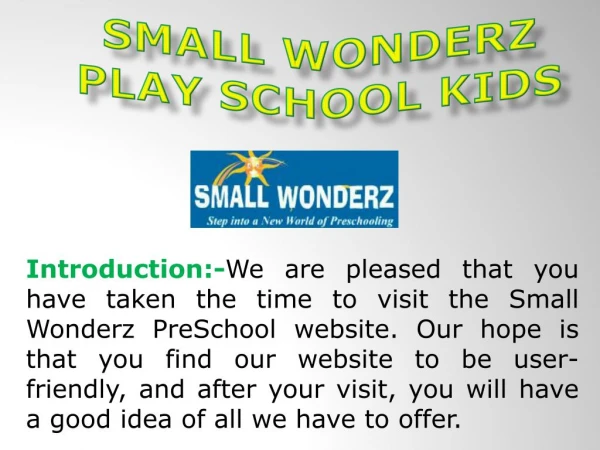 Small Wonderz Play School kids