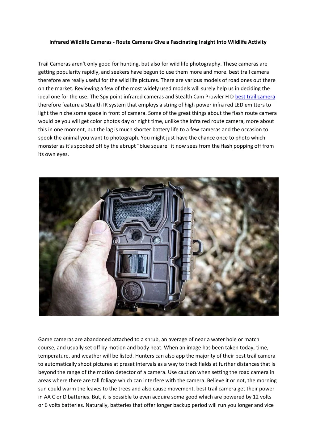 infrared wildlife cameras route cameras give