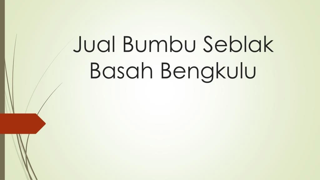 jual bumbu seblak basah bengkulu