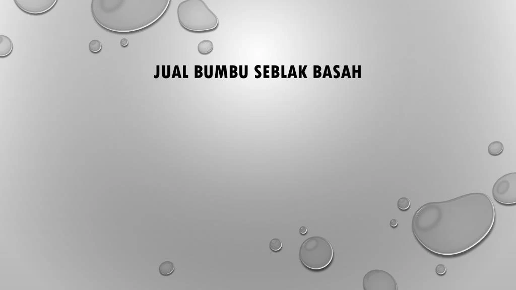 jual bumbu seblak basah